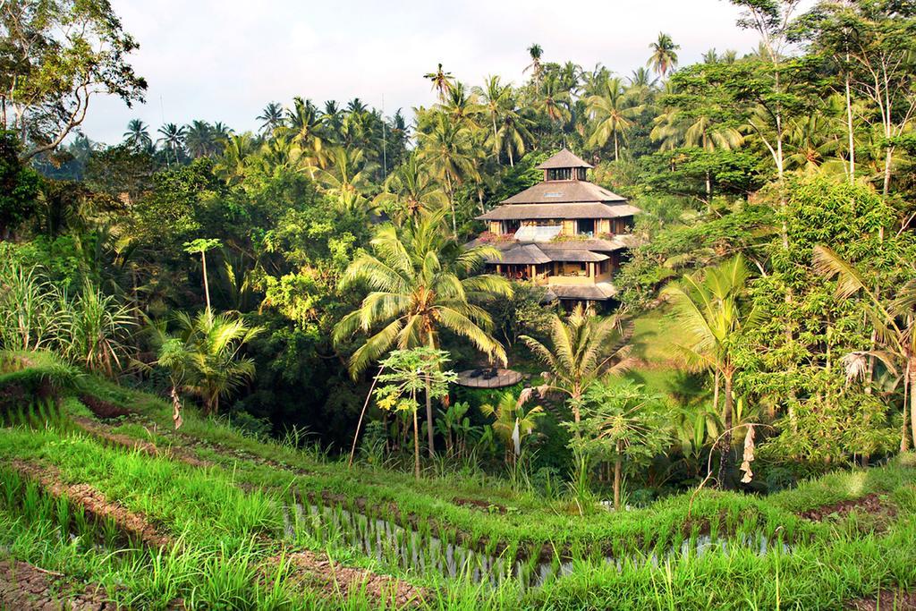 Pelangi Estate Vila Ubud Exterior foto
